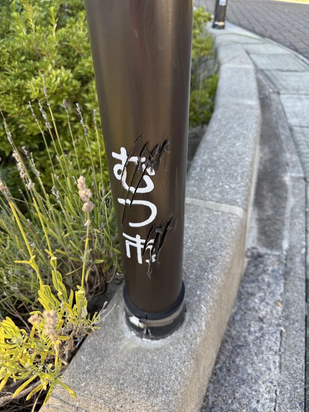 1762013096-8021-r8659yJn0QeZZpUJC5QlFEFuR8Qg