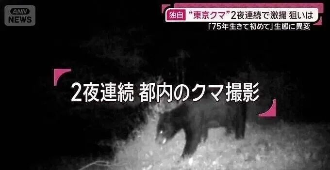 1762013099-2623-N8dIaWNj0iavyIODTbtOL0cF2A8Q