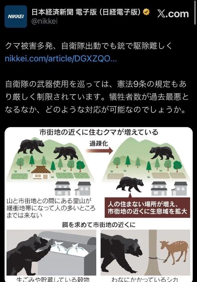 1762013110-6149-gF2qaFZbnJgWLD2rvwd2y9Caambw