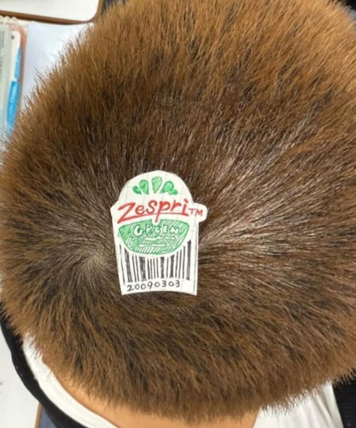 1762098782-9807-20251102