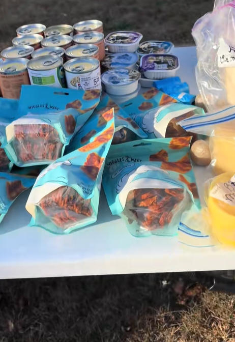 1762356961-5526-20251105