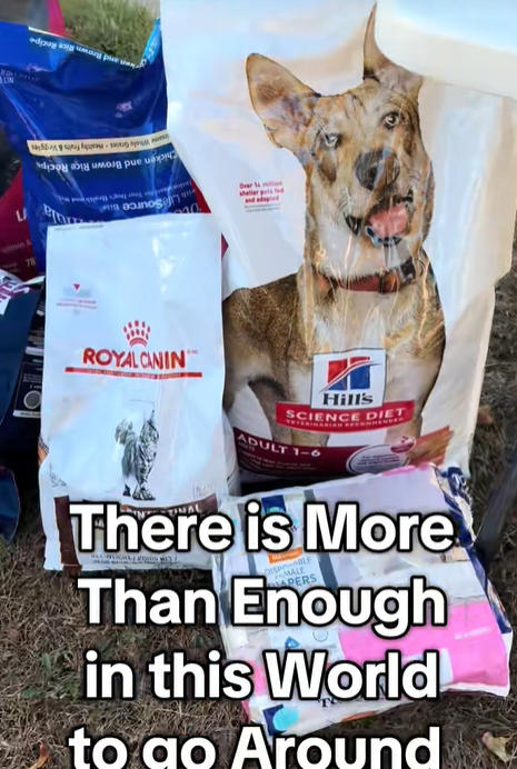 1762356962-7122-20251105