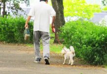 女儿养狗安慰老爸丧妻之痛,没想到,却成了女儿啃老的借口