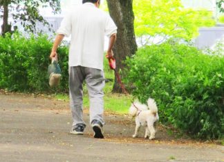 女儿养狗安慰老爸丧妻之痛,没想到,却成了女儿啃老的借口