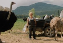 一场314只鸵鸟的猎杀保卫战…当地政府,农场,阴谋论者全崩溃了