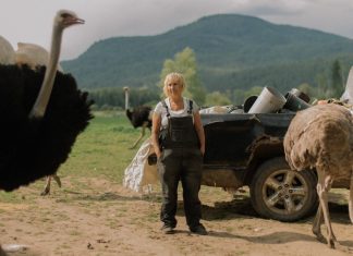 一场314只鸵鸟的猎杀保卫战…当地政府,农场,阴谋论者全崩溃了