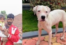 2岁娃走失老虎出没地,大人都不敢走夜路,娃独自过了一夜?最终还是汪汪队立功!