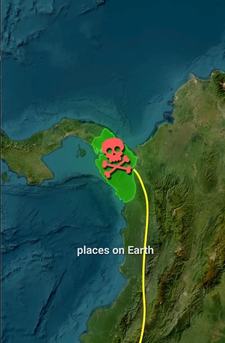 1767438172-9798-20251220